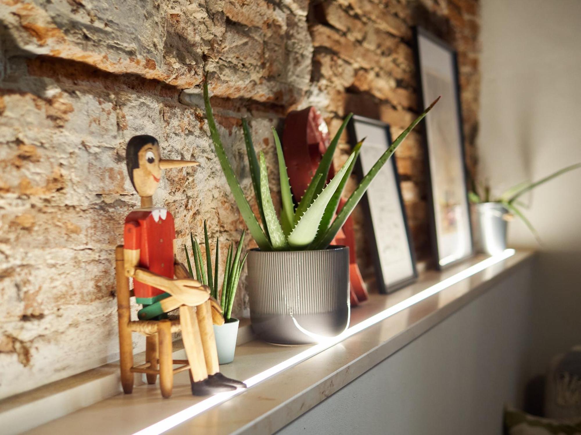 Dante, In The Historic Center Appartement *
